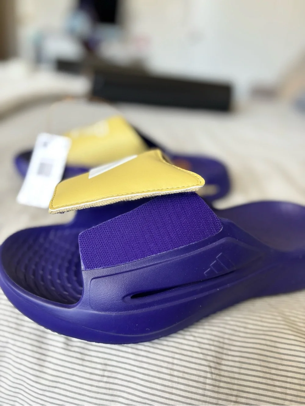 adidas washington huskies
